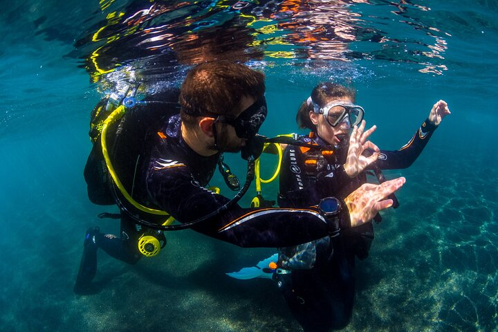 Scuba Diving Baptism Experience in Santa Cruz Tenerife - Photo 1 of 6