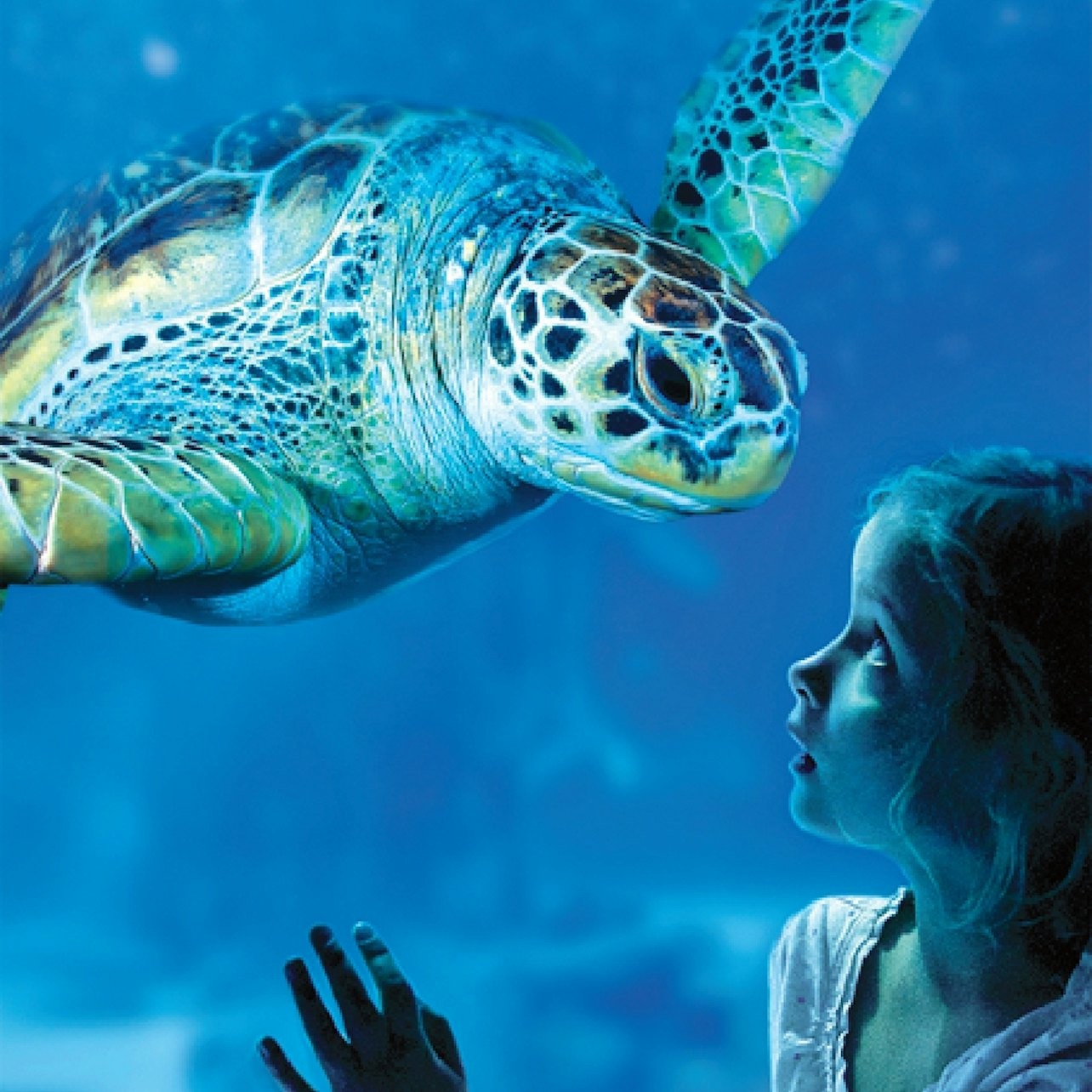 SEA LIFE Benalmádena: Entry Ticket - Photo 1 of 10