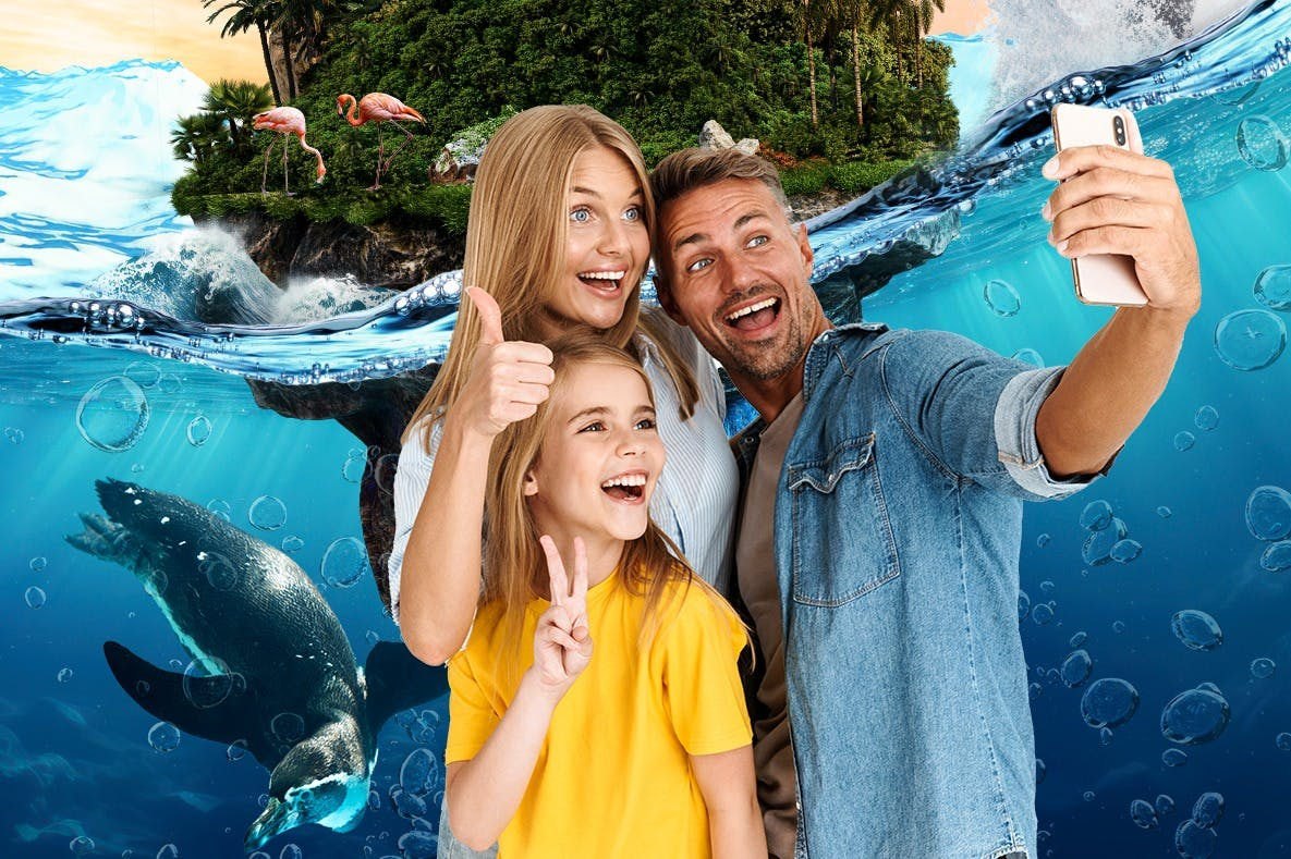 Selwo Marina: Entry Ticket - Photo 1 of 11