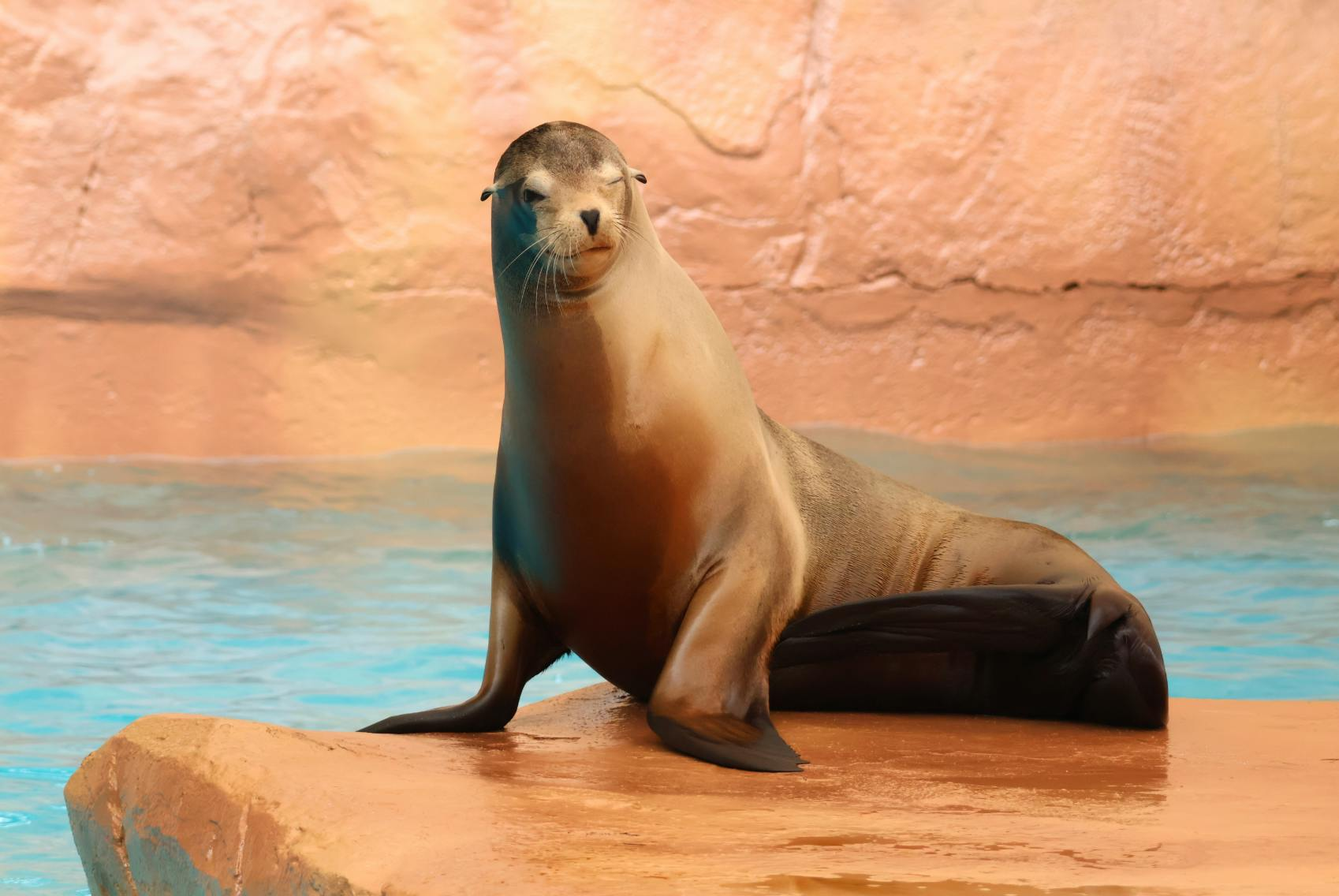 Selwo Marina: Entry Ticket - Photo 1 of 11