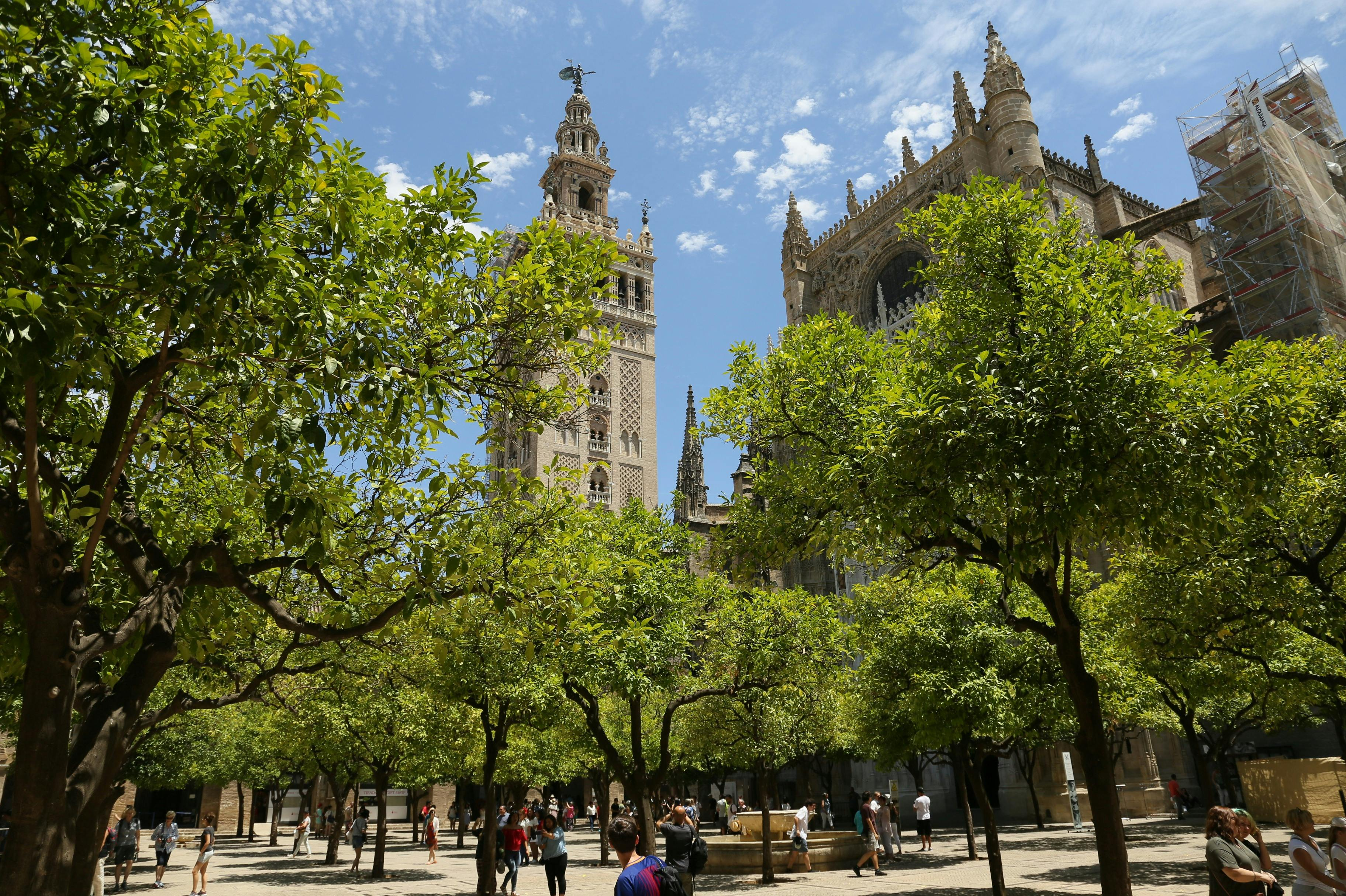 Seville Cathedral Guided Tour with Entry Tickets - Photo 1 of 5
