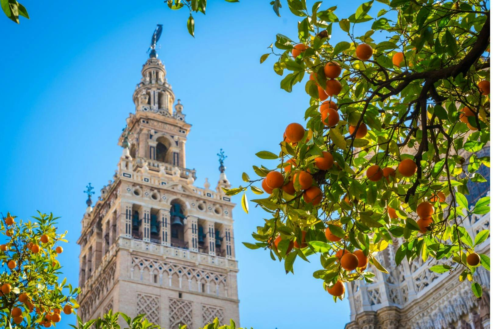 Royal Alcázar of Seville, Cathedral & Giralda: Entry + Guided Tour - Photo 1 of 4
