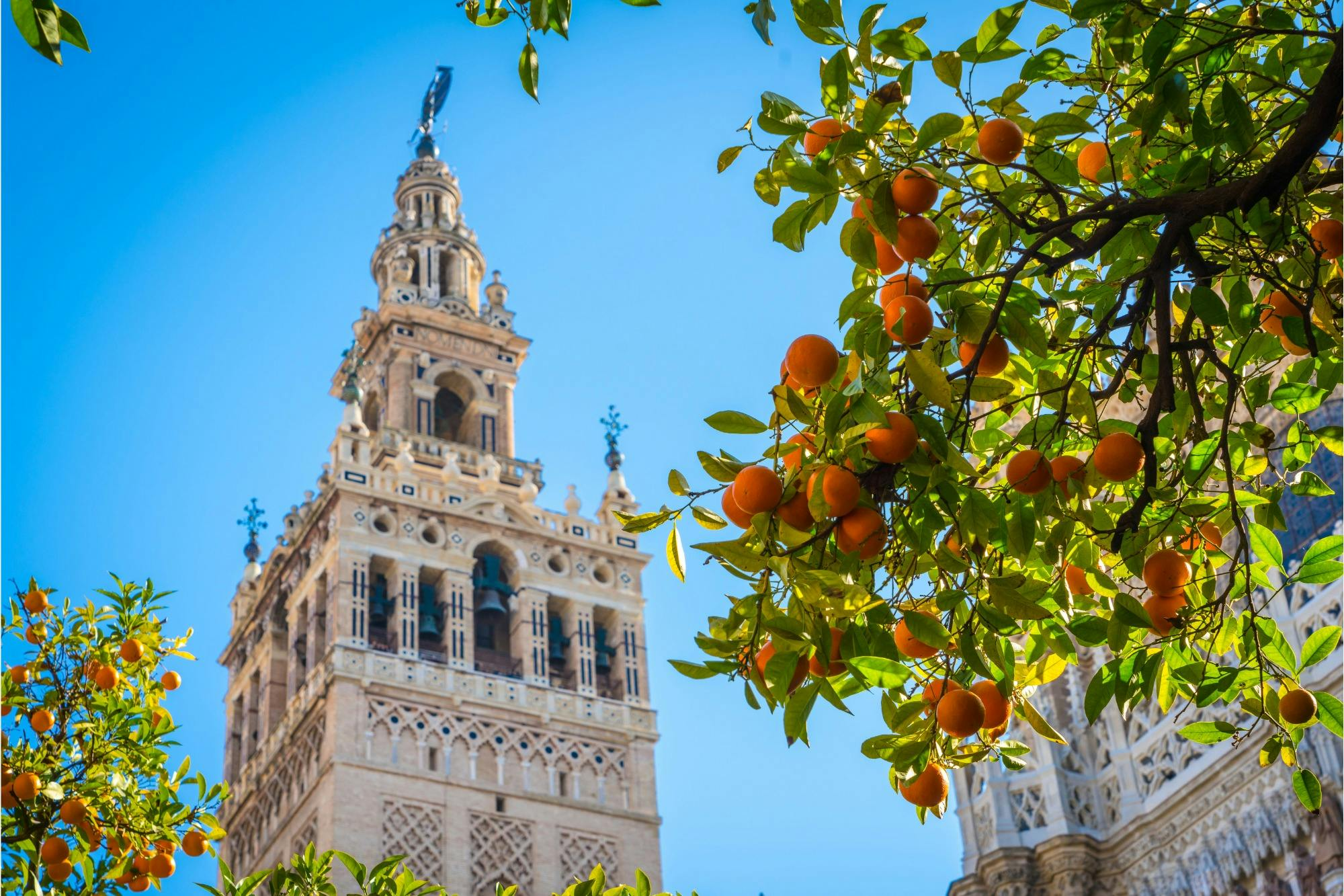 Seville Cathedral & La Giralda: Entry Ticket + Audio Guide App + AR Experience - Photo 1 of 8