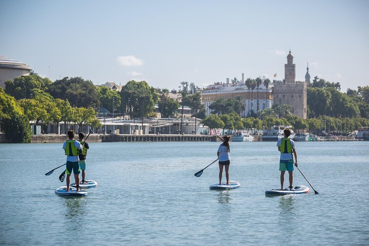 Explore the charm of Seville while paddle surfing along the river surrounded by stunning landscapes and intriguing stories perfect for both adventure and relaxation.