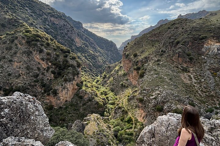 Sierra Nevada Safari – Small Group Tour Up to 2,500 Meters - Photo 1 of 15
