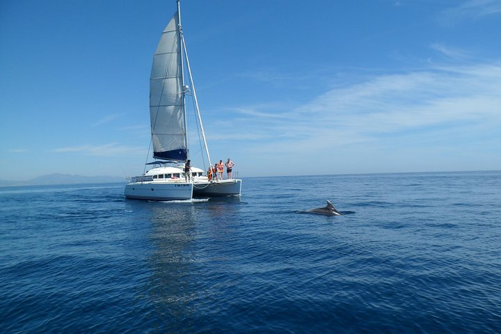Sighting Dolphin Trip Estepona, Marbella - Photo 1 of 5