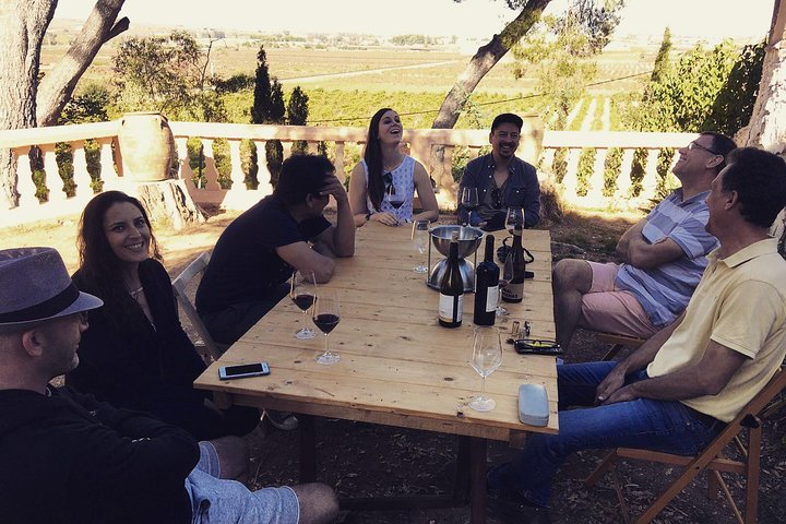 Singular Valencia Wine Tour Utiel Requena Wineries - Photo 1 of 18