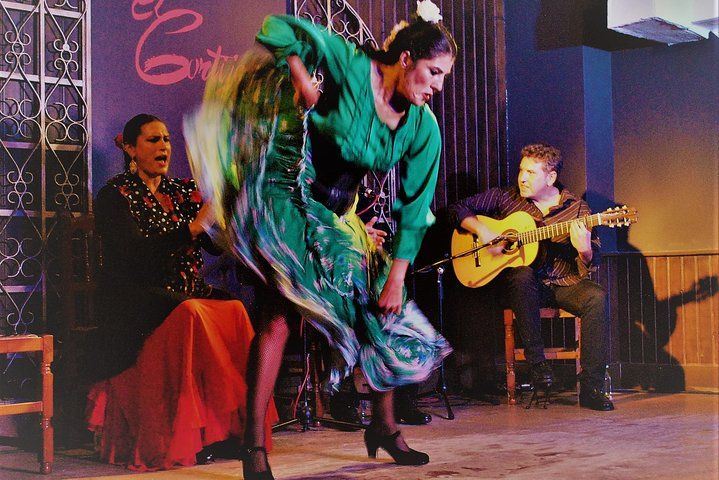 Local Flamenco Show with dinner at El Cortijo - Photo 1 of 9