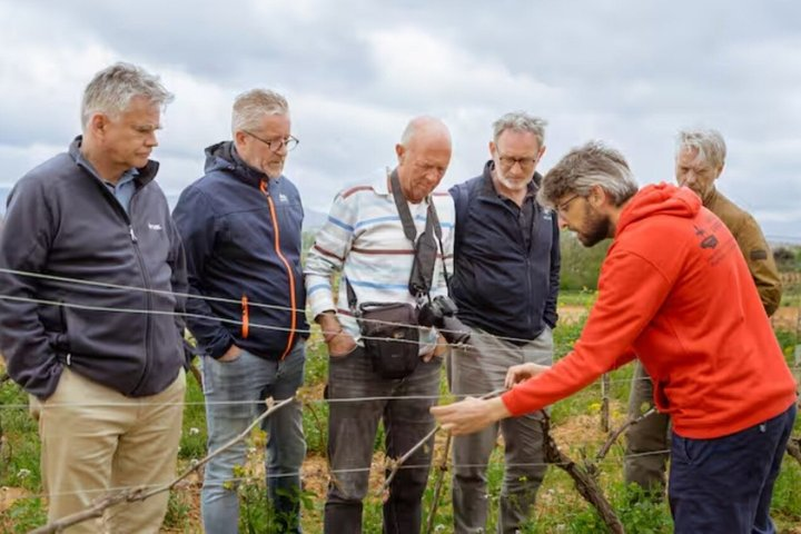 Small-Group Wine Tour with Local Expert (7 max) - Photo 1 of 14