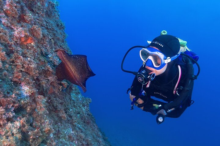 Small-Group Scuba Diving Adventure in Costa Brava  - Photo 1 of 5