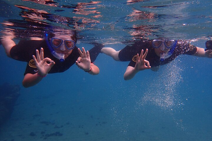 Snorkelers on the surface