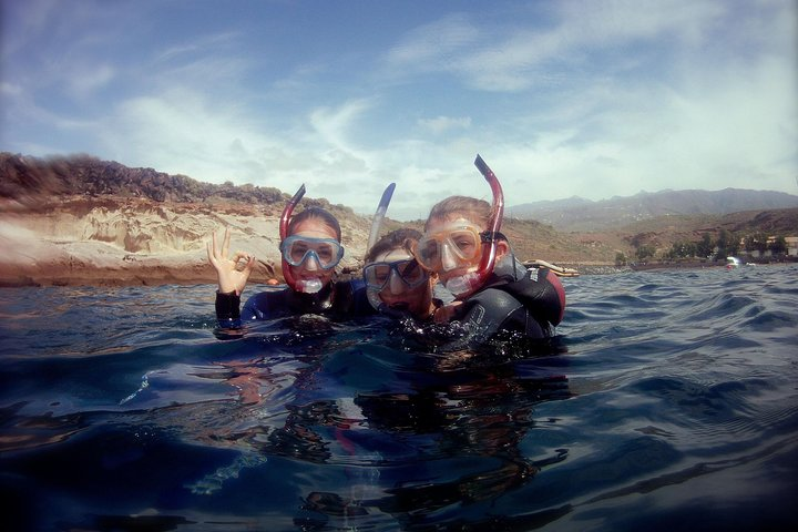 Snorkelling in Tenerife