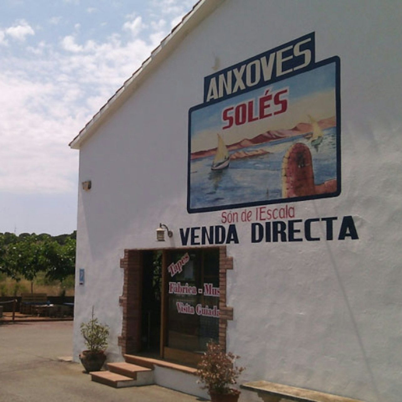 Solés Anchovy Factory-Museum: Entry Ticket - Photo 1 of 6