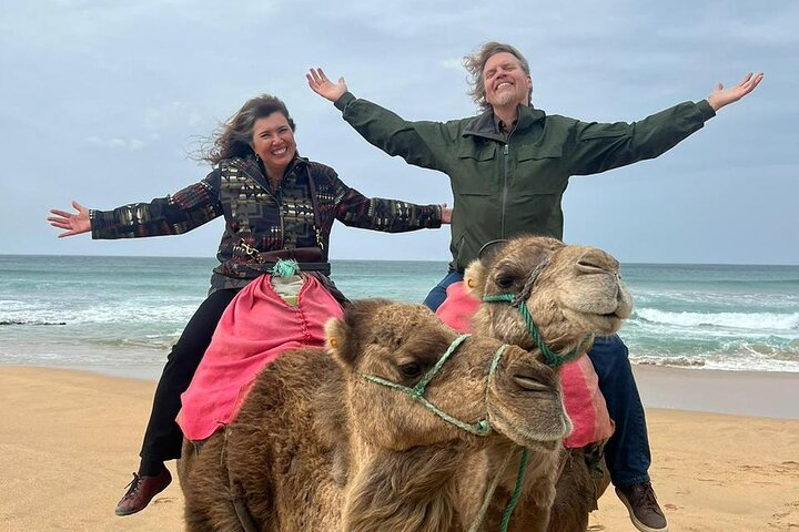 Tangier Private Tour from Marbella Including Camel Ride & Lunch - Photo 1 of 19
