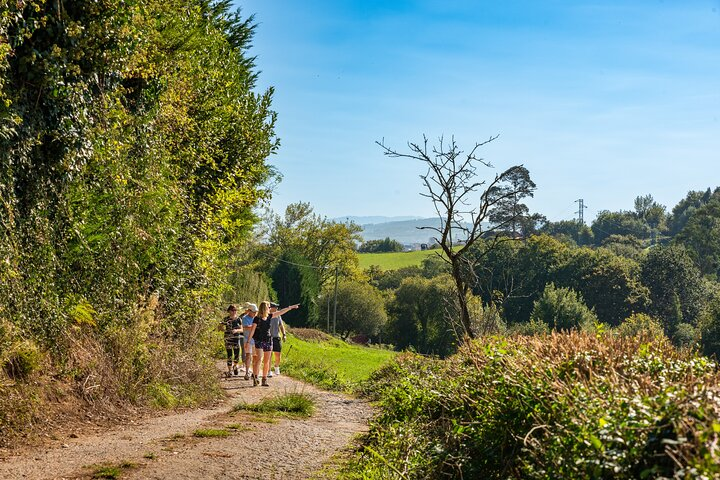 A beautiful hike through Oviedo and the Asturian countryside, giving you a real Taste of the Camino de Santiago!