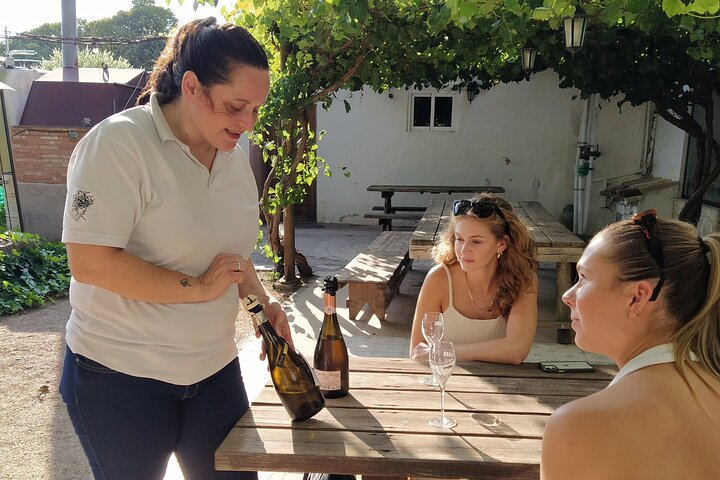 Wine tasting tour  - Photo 1 of 10