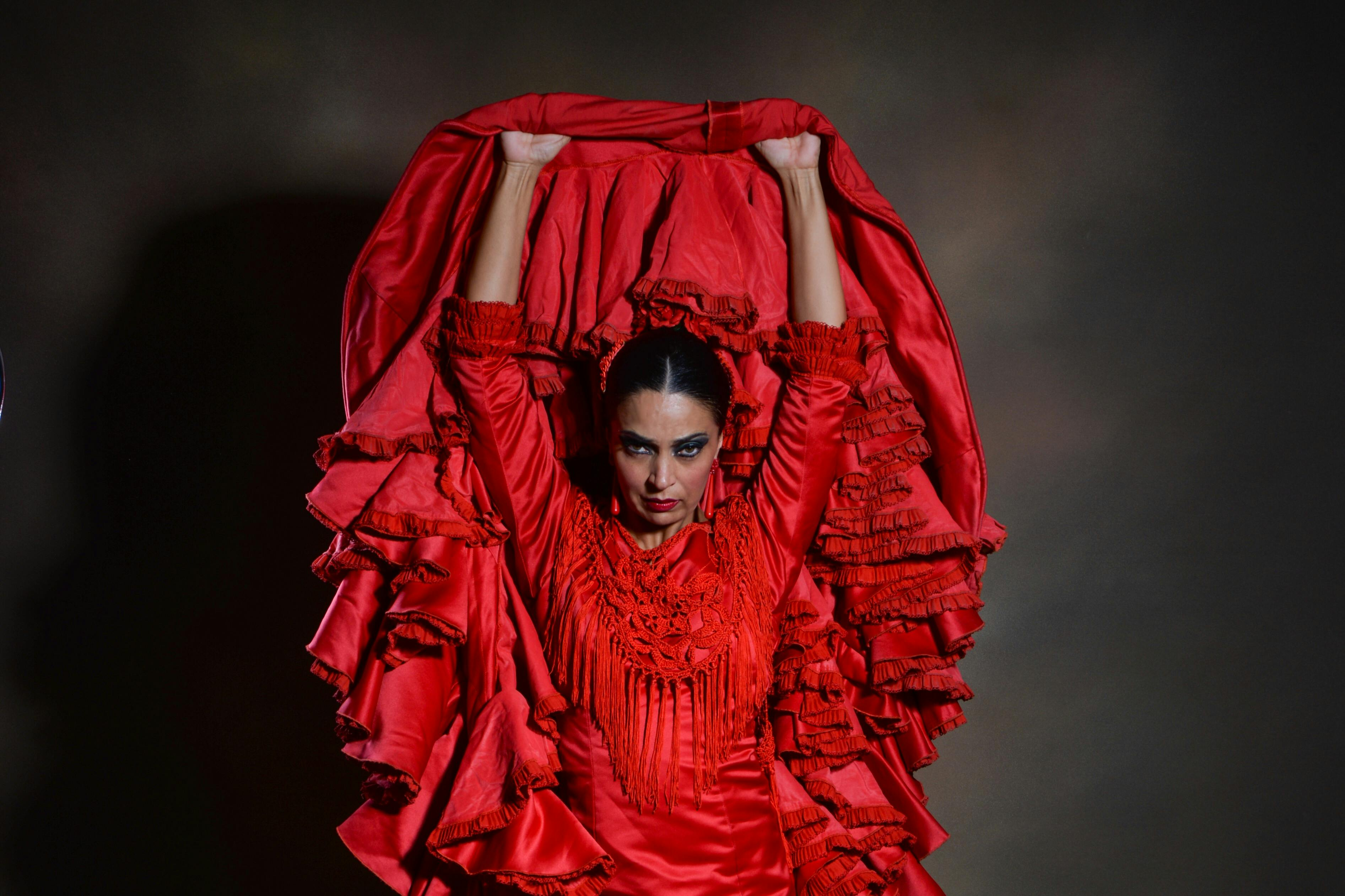 Teatro Flamenco Granada: Sensaciones Show - Photo 1 of 6