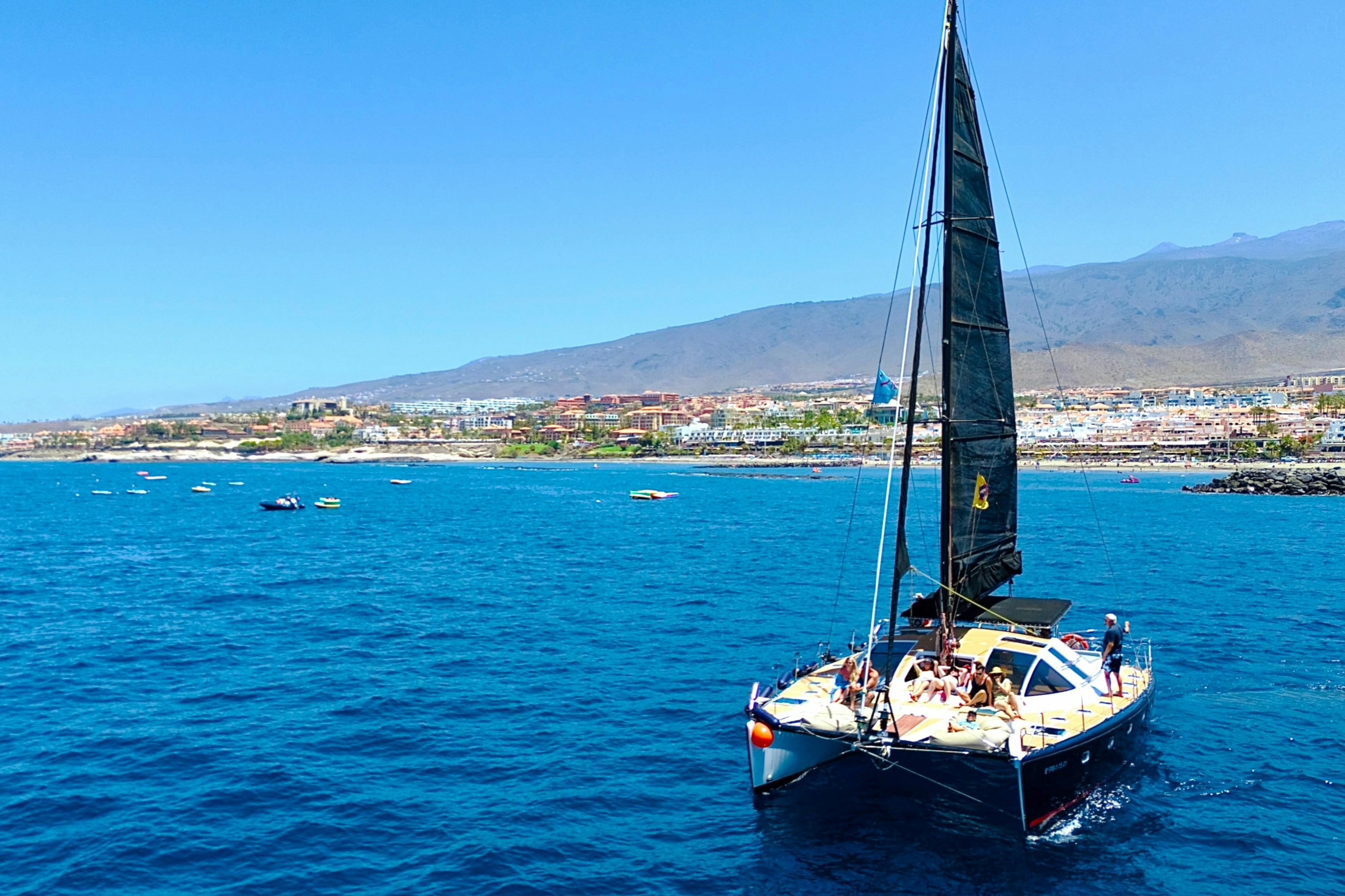 Tenerife: 3-Hour Whale & Dolphin Watching Catamaran Tour with Catering - Photo 1 of 8