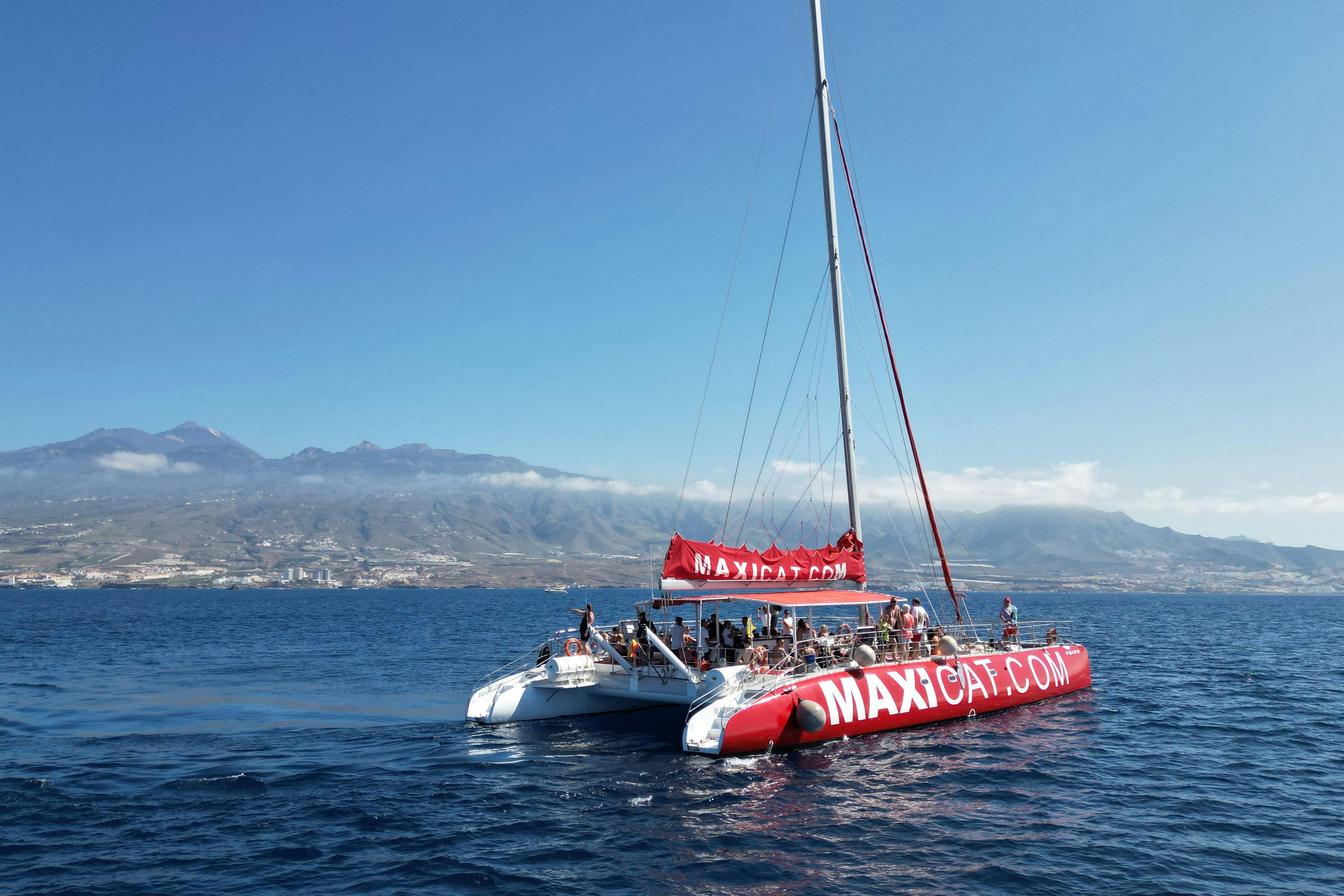 Tenerife: Dolphin & Whale Watching Catamaran Tour + Lunch + Transfers - Photo 1 of 6