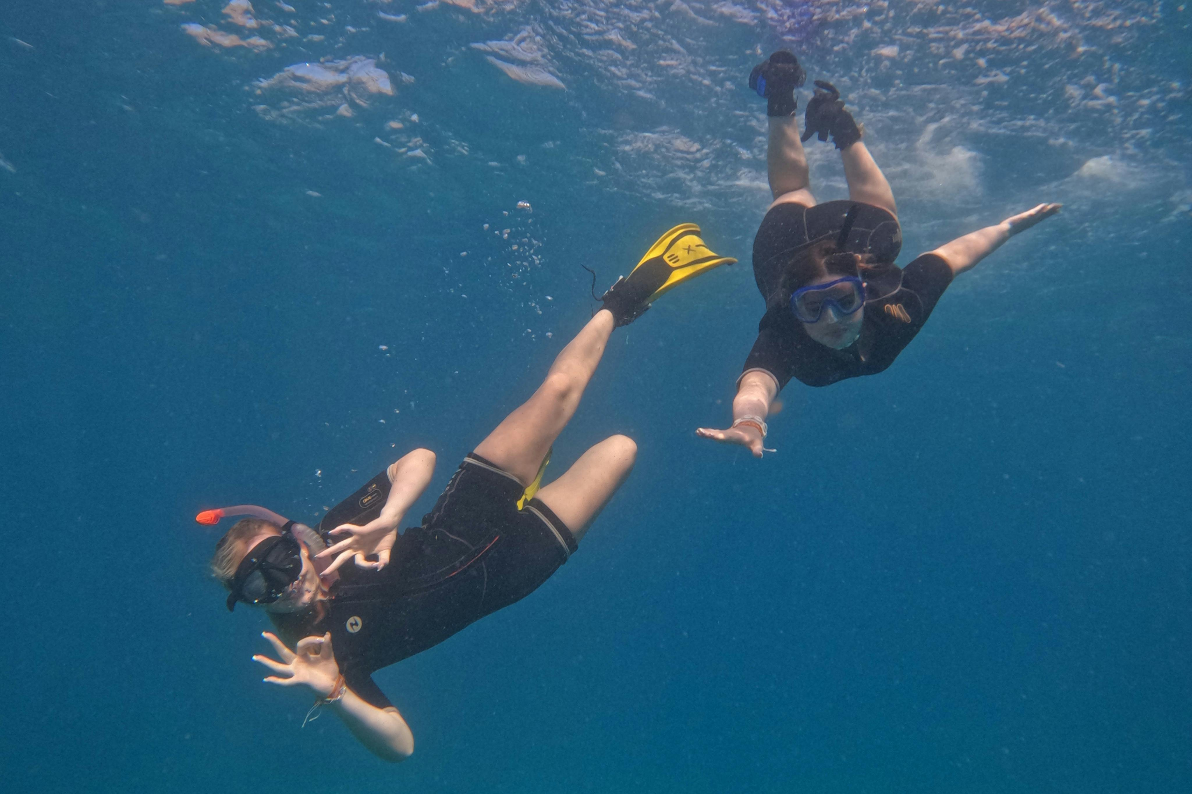 Tenerife: Guided Snorkeling Experience - Photo 1 of 4