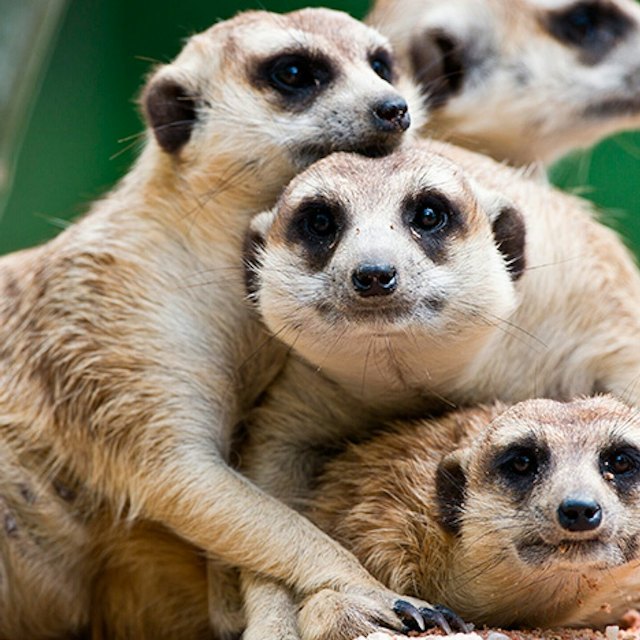 Terra Natura Murcia: Entry Ticket - Photo 1 of 9