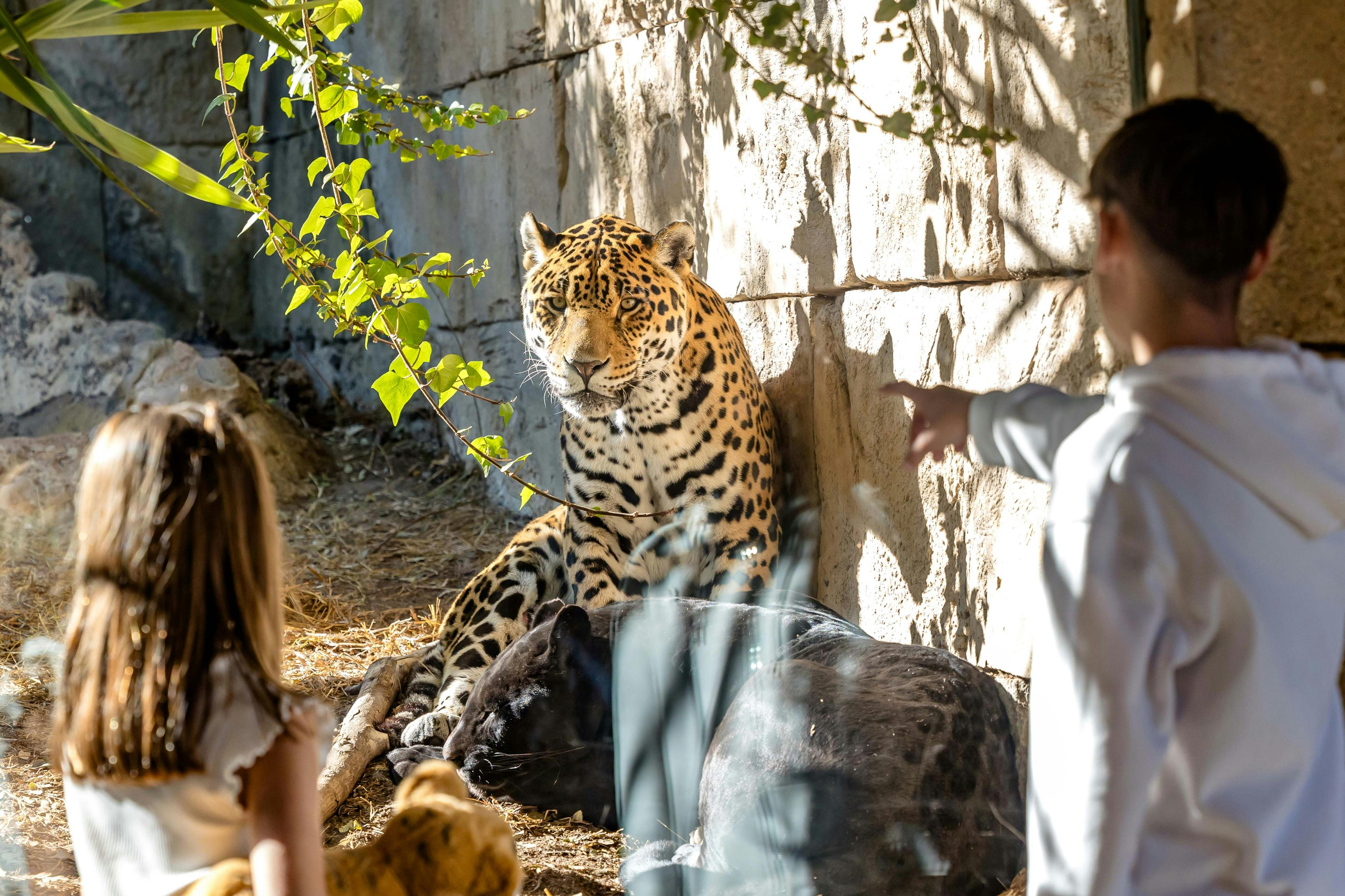 Terra Natura Benidorm: Winter Pass - Photo 1 of 5