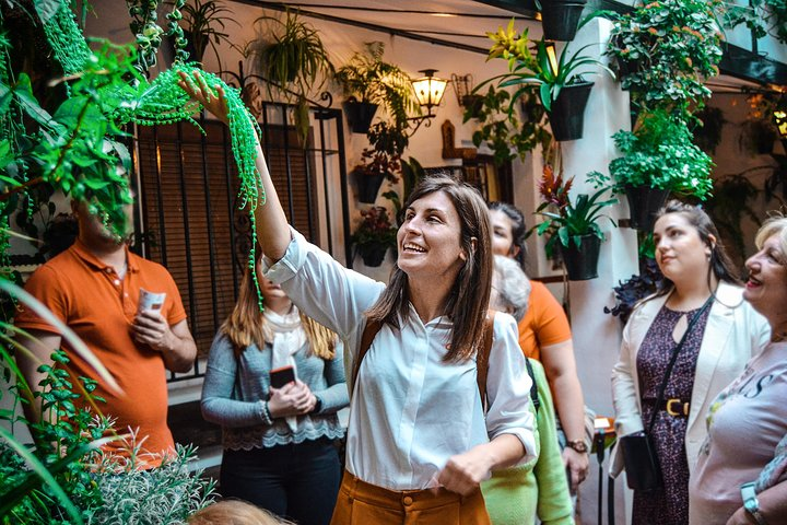 The best of Córdoba private tour - Photo 1 of 6