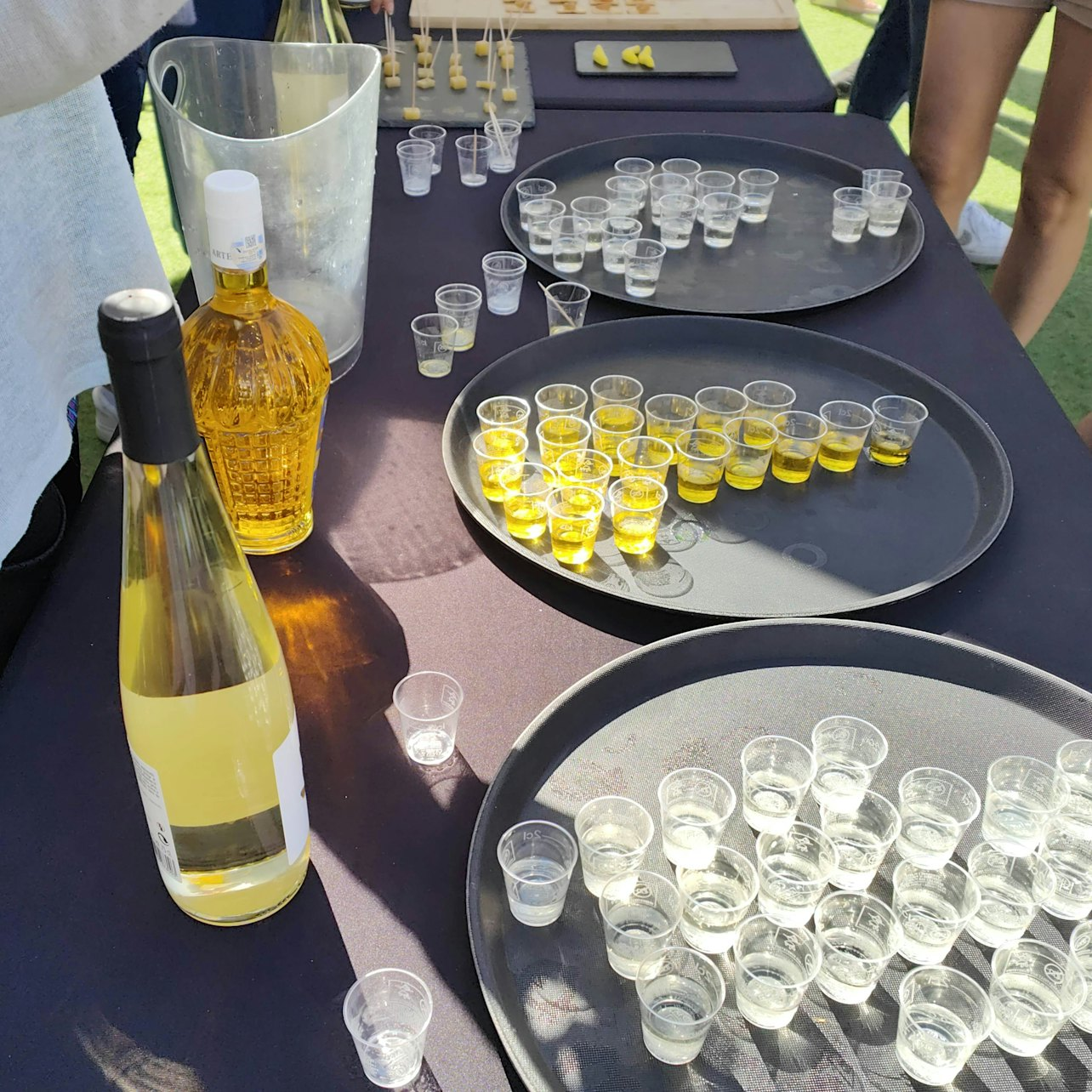 The North Coast: Salt, Rock Pools, Snorkeling Trial & Sunset Experience - Photo 1 of 21