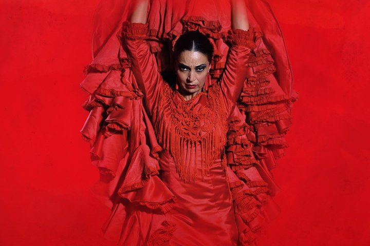 The Premium Experience at Teatro Flamenco Madrid - Photo 1 of 9