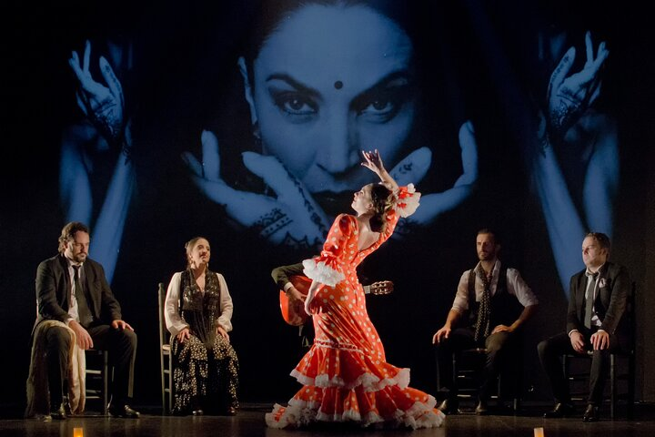 Immerse yourself in a mesmerizing flamenco journey celebrating diverse styles performed by elite artists creating a rich tapestry of sound and movement that echoes the spirit of Spain.