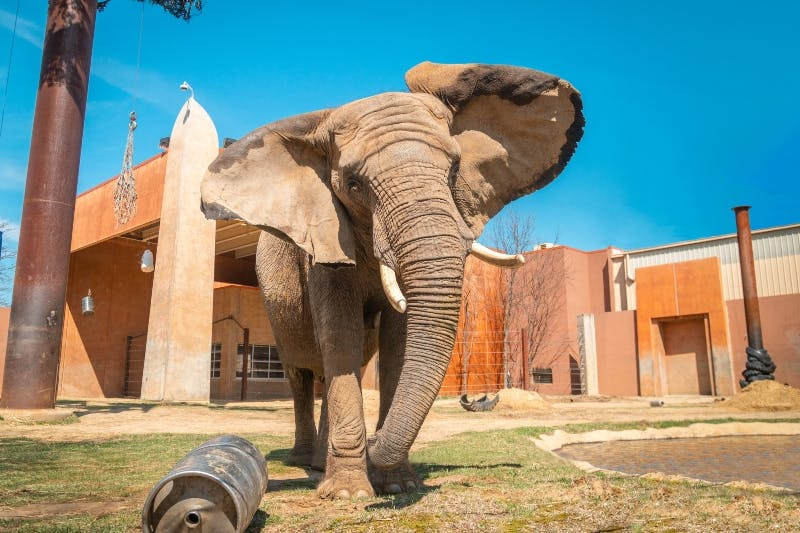 Toledo Zoo & Aquarium Tickets - Photo 1 of 16