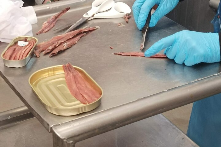 Anchovy filleting