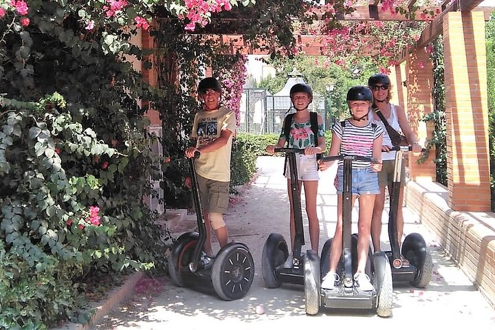 Complete Valencia Segway Experience: Historic Center & Gardens - Photo 1 of 6