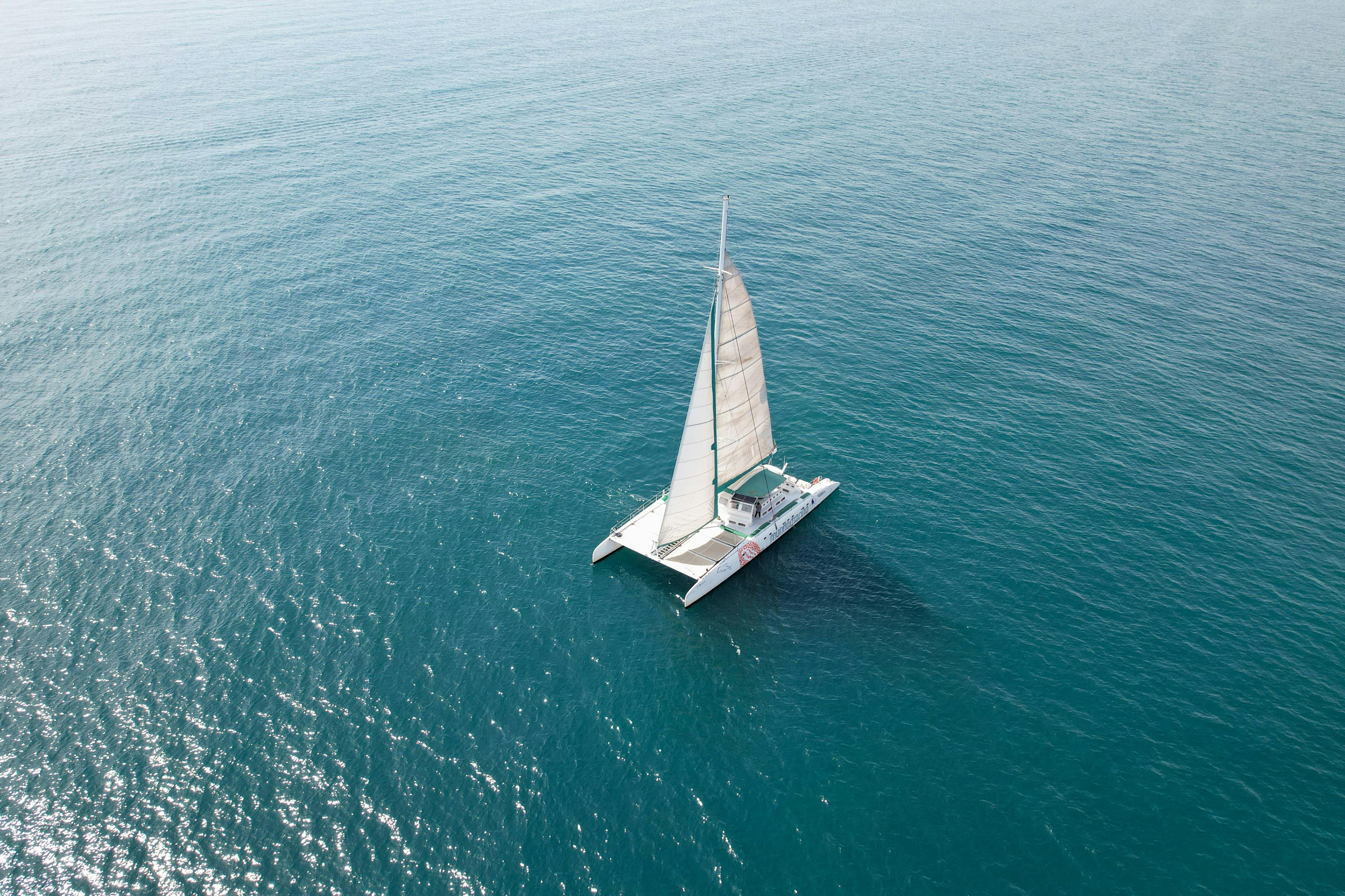 Valencia: Catamaran Sailing Experience - Photo 1 of 3