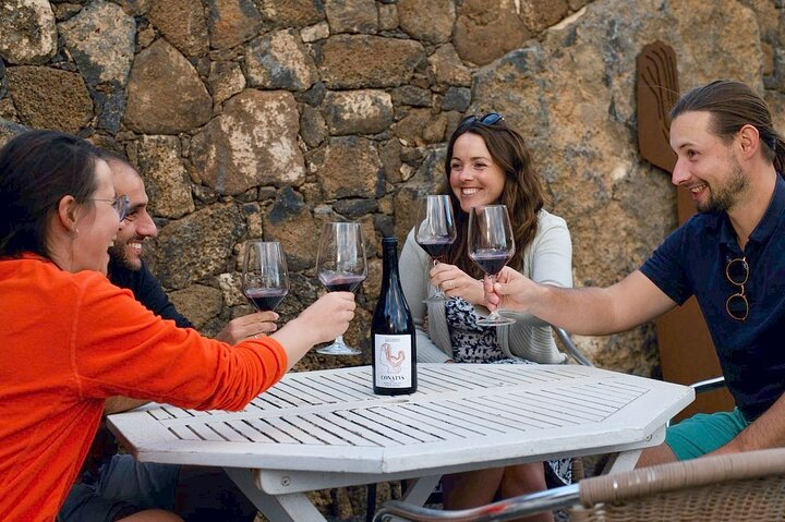 Vineyard tour with wine tasting and local products - Photo 1 of 10