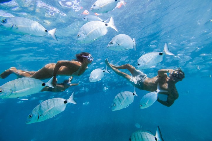 Ferry to Lobos Island + Snorkel from Corralejo - Photo 1 of 16