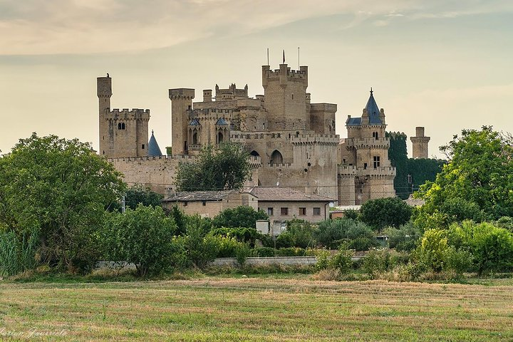 Olite Royal Palace and snack in a medieval village from Pamplona - Photo 1 of 6