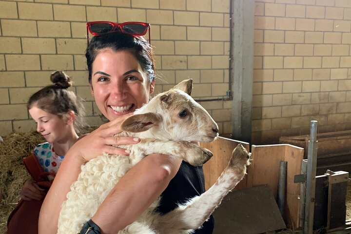 Visit San Sebastian and a Family Cheese Farm with Tasting (From Bilbao) - Photo 1 of 10