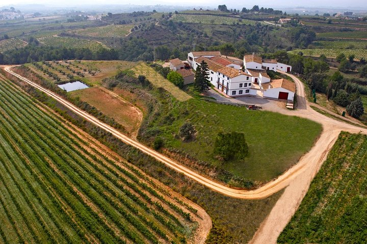 wine-growing region of Alt Penedès
