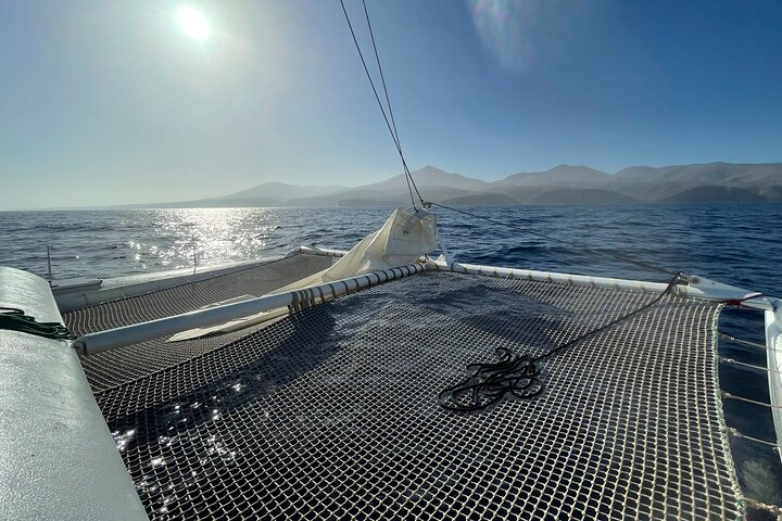 Whale & Dolphin Observation on Silent Catamaran with Hydrophone - Photo 1 of 15