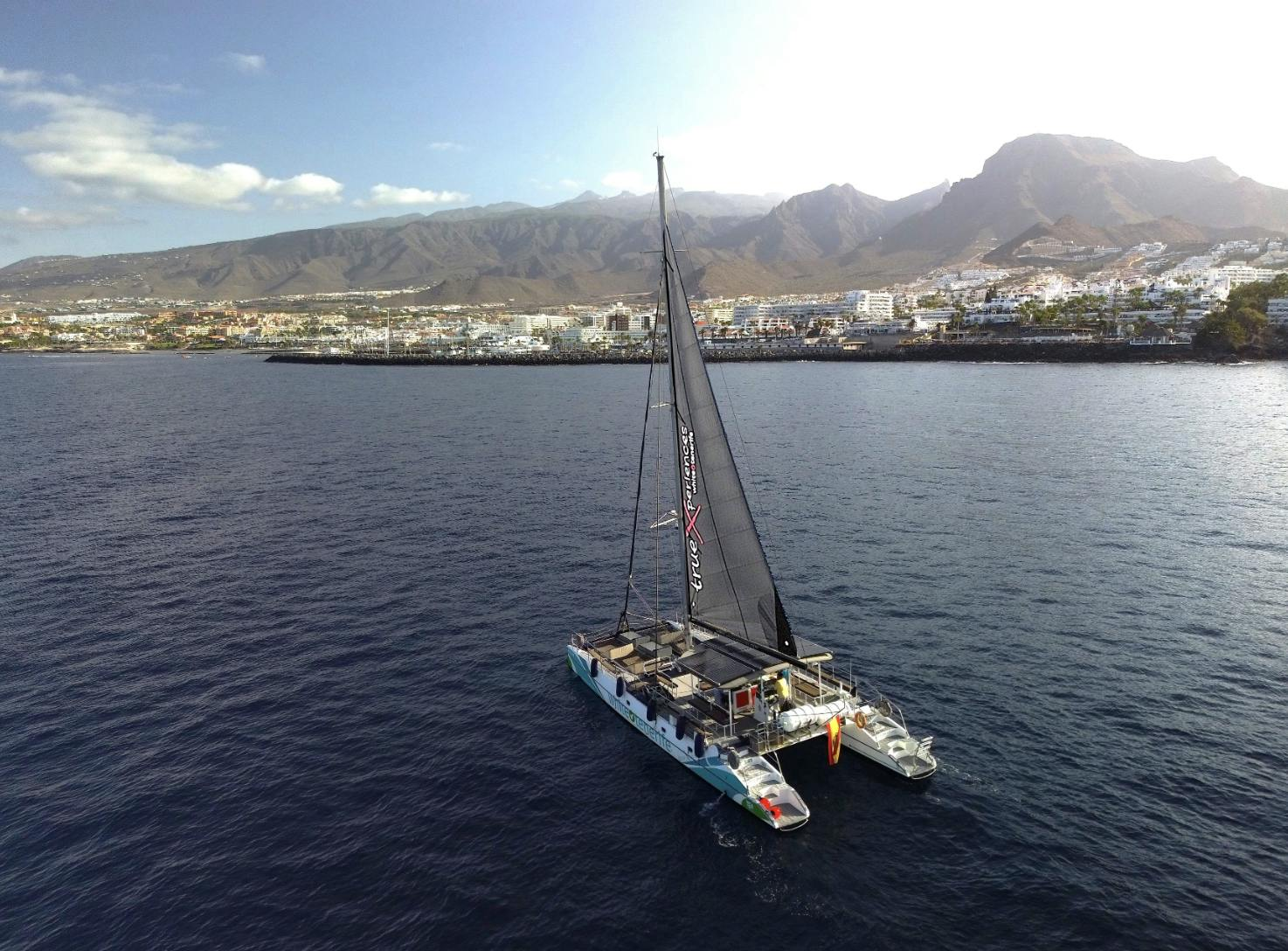 Tenerife: 3-Hour Whale & Dolphin Watching Eco-Catamaran Tour - Photo 1 of 3