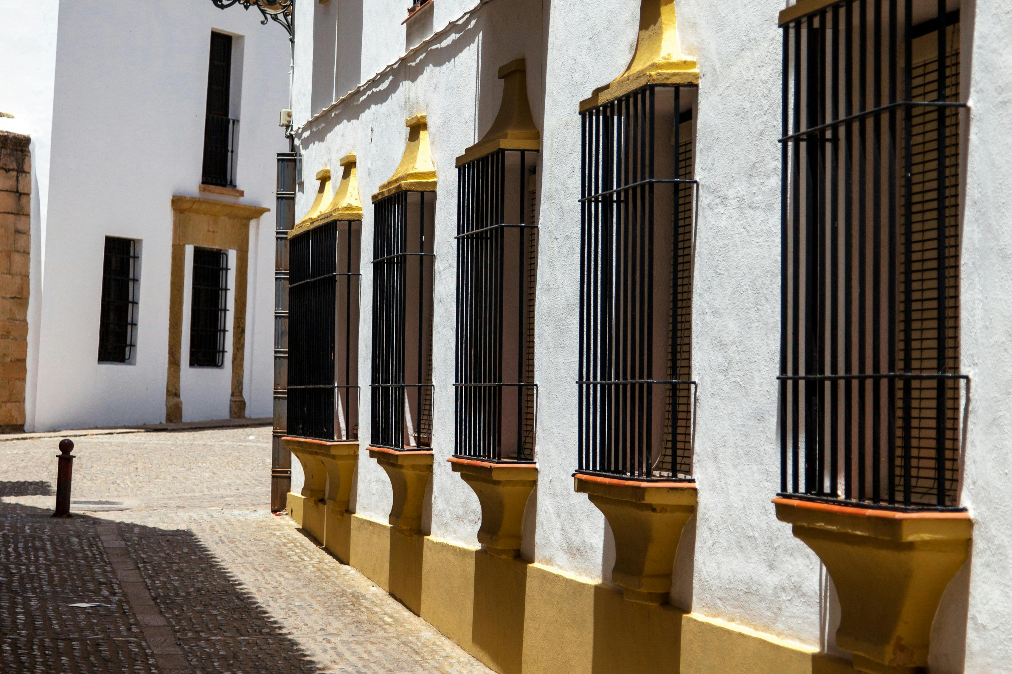White Villages and Ronda: Day Trip from Seville - Photo 1 of 3
