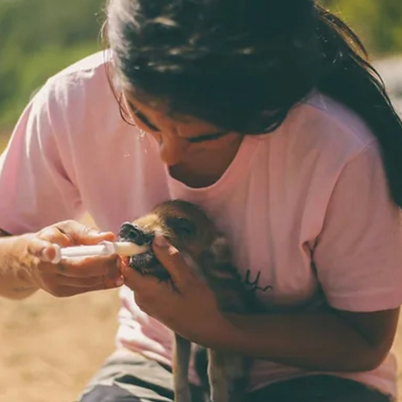 Aguilar de Segarra: Wild Forest Reserve Foundation Tour + Workshop - Photo 1 of 7