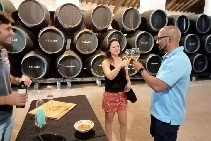 Wine tourism, visit to a traditional winery and wine tasting - Photo 1 of 13