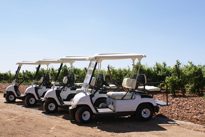 Wine tourism: Wine tasting - Photo 1 of 7