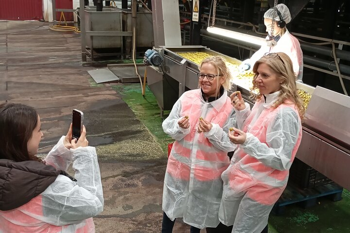 OLIVE OIL & WINE TOUR - Organic Fields 5 Wines + 3 Olive Oils  - Photo 1 of 25