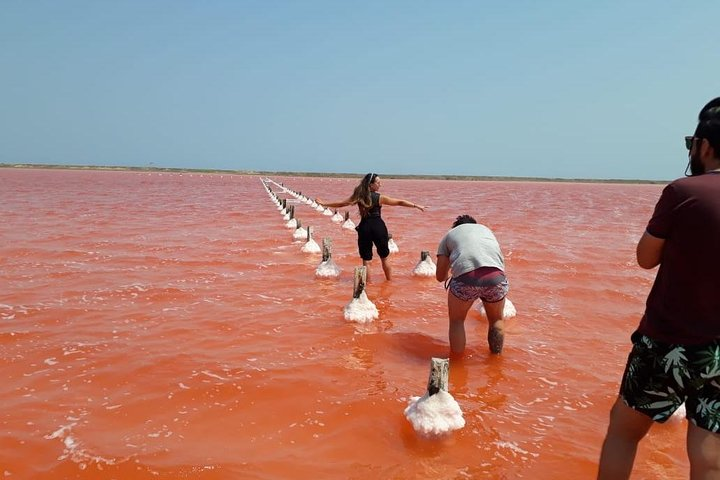 Pink sea
