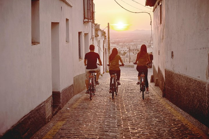 Zooming Through Granada: A Fun-Filled Electric Bike Tour - Photo 1 of 9