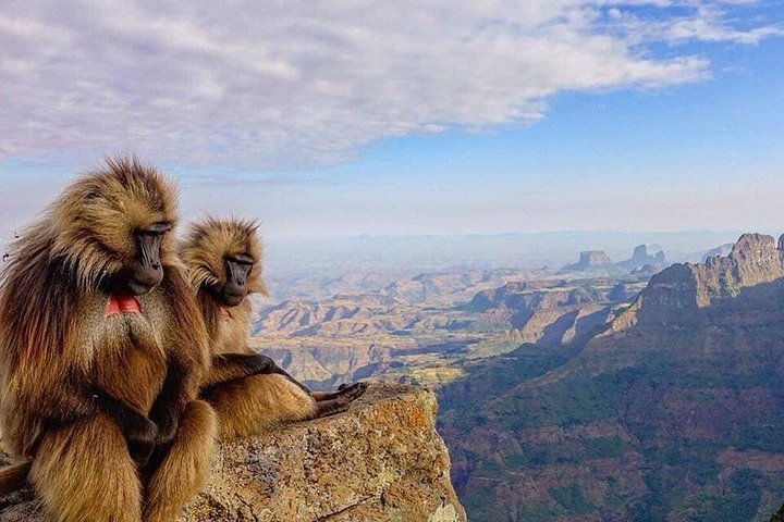 12days Trekking In Simien Mountain & Around Lalibela - Photo 1 of 25