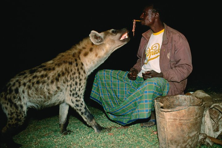 3 Days Tour to Walled Town Harar and Dired Dawa, Ethiopia - Photo 1 of 5